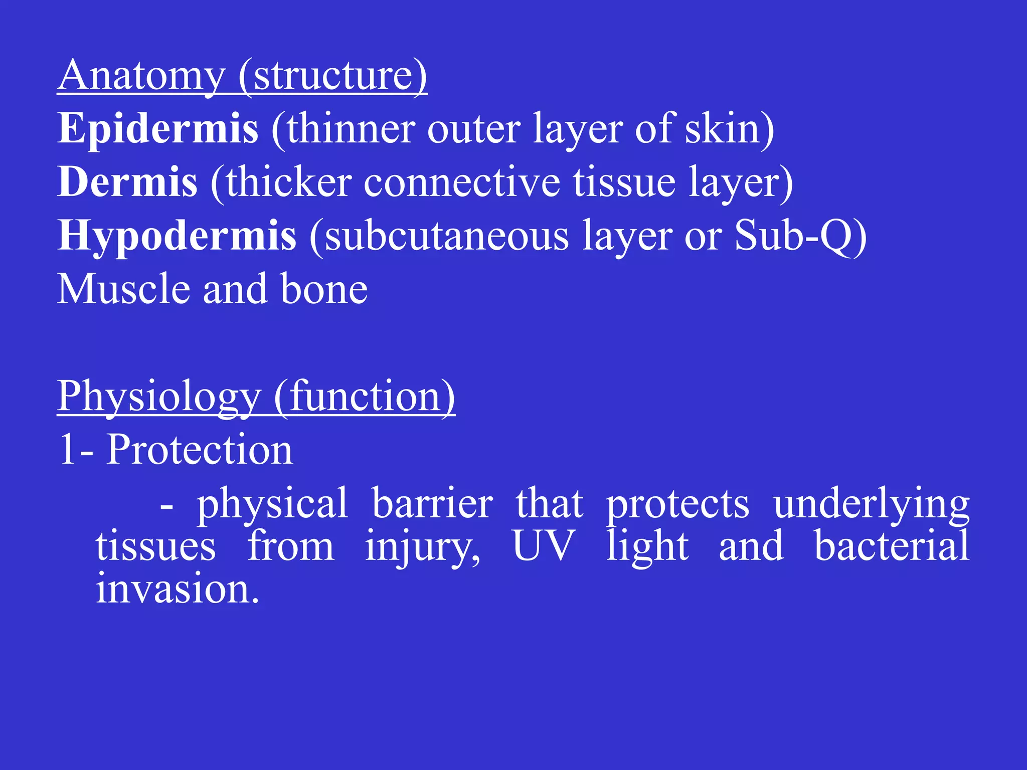 Anatomy (structure)


Epidermis (thinner outer layer of skin)


Dermis (thicker connective tissue layer)


Hypodermis (subcutaneous layer or Sub-Q)


Muscle and bone


Physiology (function)


1- Protection


	
	
- physical barrier that protects underlying
tissues from injury, UV light and bacterial
invasion.


	
	
 