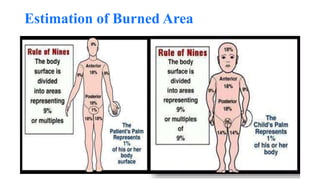 Estimation of Burned Area
 