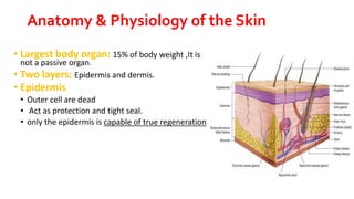 Anatomy & Physiology of the Skin
• Largest body organ: 15% of body weight ,It is
not a passive organ.
• Two layers: Epidermis and dermis.
• Epidermis
• Outer cell are dead
• Act as protection and tight seal.
• only the epidermis is capable of true regeneration
 