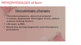 PATHOPHYSIOLOGY of Burn
 