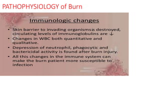 PATHOPHYSIOLOGY of Burn
 
