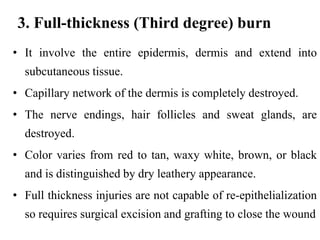 3. Full-thickness (Third degree) burn
• It involve the entire epidermis, dermis and extend into
subcutaneous tissue.
• Capillary network of the dermis is completely destroyed.
• The nerve endings, hair follicles and sweat glands, are
destroyed.
• Color varies from red to tan, waxy white, brown, or black
and is distinguished by dry leathery appearance.
• Full thickness injuries are not capable of re-epithelialization
so requires surgical excision and grafting to close the wound
 