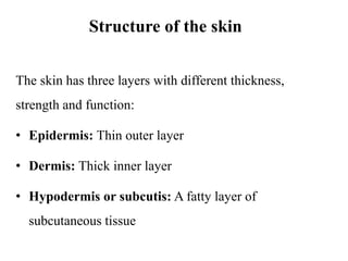 Structure of the skin
The skin has three layers with different thickness,
strength and function:
• Epidermis: Thin outer layer
• Dermis: Thick inner layer
• Hypodermis or subcutis: A fatty layer of
subcutaneous tissue
 