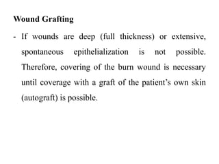 Wound Grafting
- If wounds are deep (full thickness) or extensive,
spontaneous epithelialization is not possible.
Therefore, covering of the burn wound is necessary
until coverage with a graft of the patient’s own skin
(autograft) is possible.
 