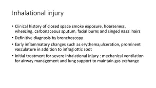 BURN. A brief note on burn and its management | PPTX