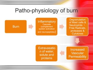 Acute burn care ,basic to clinical by Dr iftikhar alam | PPTX