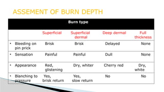 Burn ppt for final year Student by Komakshi gurjar | PPTX