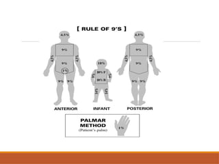 Comprehensive Overview of Burn Injuries: Types, Classification, and ...