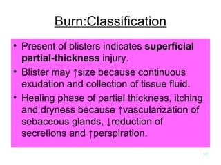 Burn:Classification Present of blisters indicates  superficial partial-thickness  injury. Blister may ↑size because continuous exudation and collection of tissue fluid. Healing phase of partial thickness, itching  and dryness because ↑vascularization of sebaceous glands, ↓reduction of secretions and ↑perspiration. 