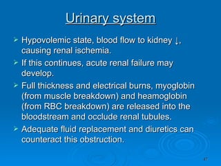 Urinary system Hypovolemic state, blood flow to kidney ↓, causing renal ischemia. If this continues, acute renal failure may develop. Full thickness and electrical burns, myoglobin (from muscle breakdown) and heamoglobin (from RBC breakdown) are released into the bloodstream and occlude renal tubules. Adequate fluid replacement and diuretics can counteract this obstruction. 