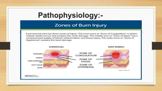Pathophysiology -
:
 