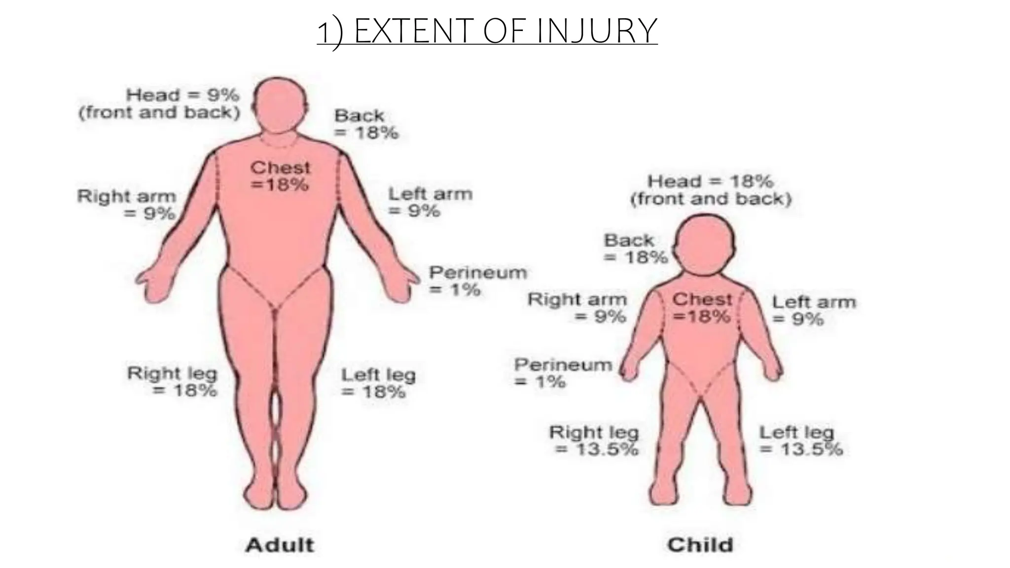 1) EXTENT OF INJURY
 