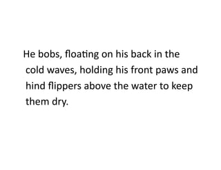 He	
  bobs,	
  ﬂoaDng	
  on	
  his	
  back	
  in	
  the	
  
	
  cold	
  waves,	
  holding	
  his	
  front	
  paws	
  and	
  
	
  hind	
  ﬂippers	
  above	
  the	
  water	
  to	
  keep	
  
	
  them	
  dry.	
  
 