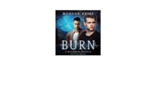 burn witch burn novel