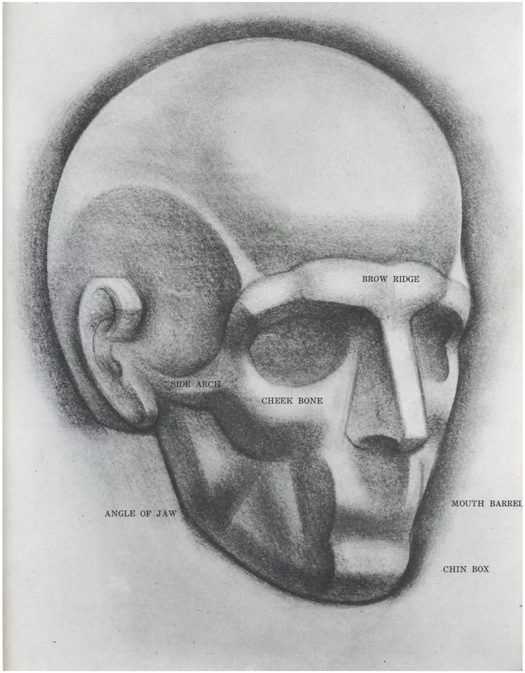 Burne Hogarth Drawing The Human Head Pdf