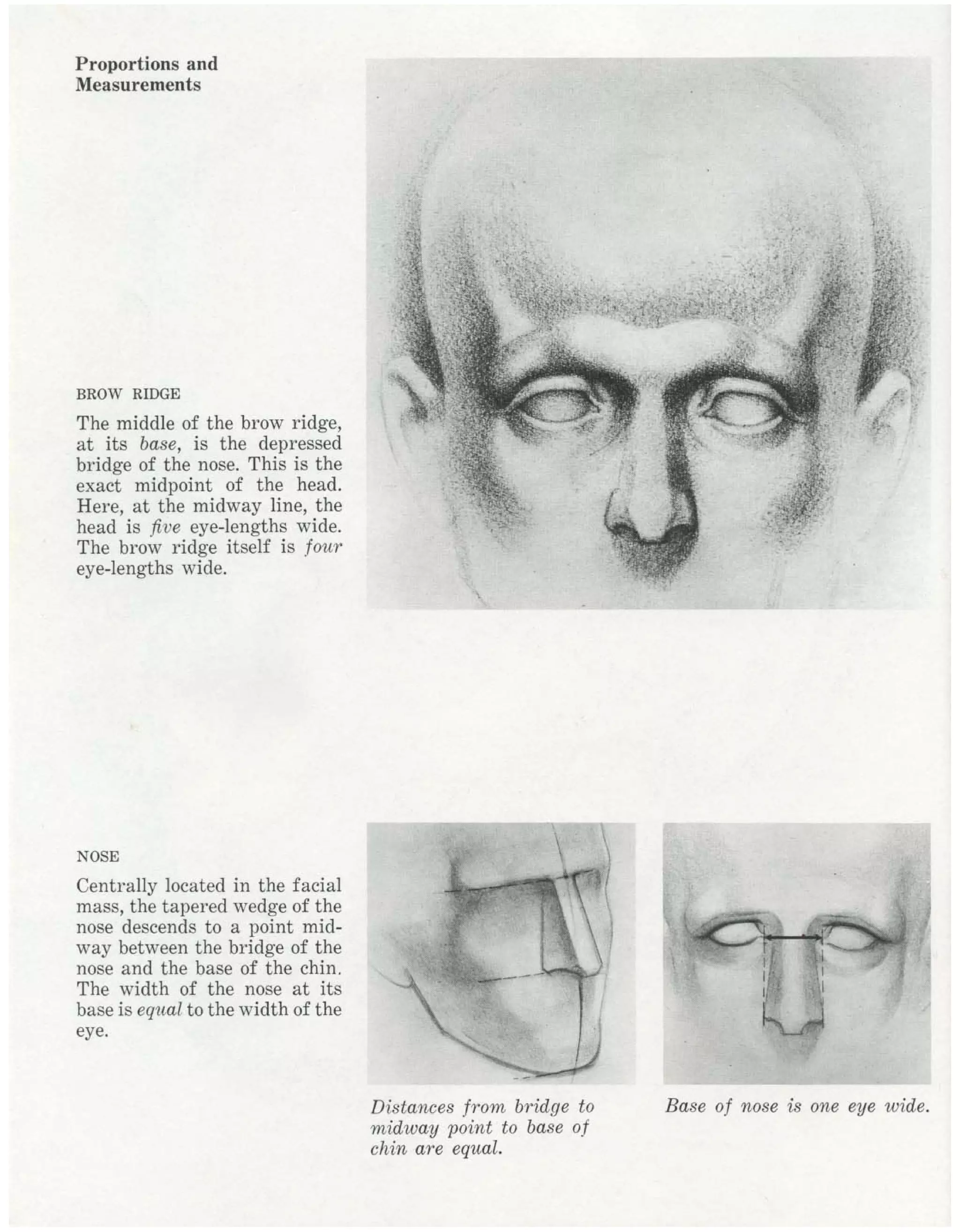Burne Hogarth Drawing The Human Head Pdf