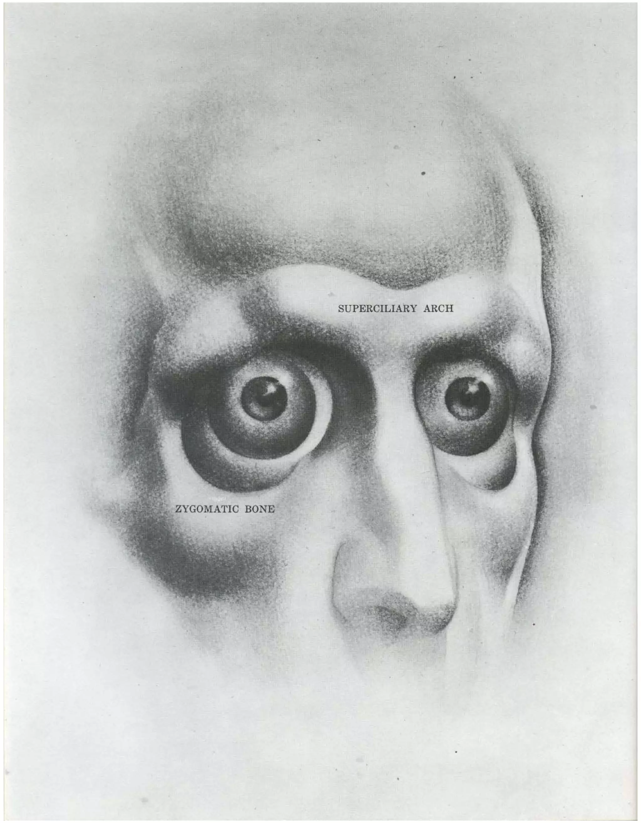 Burne Hogarth Drawing The Human Head Pdf