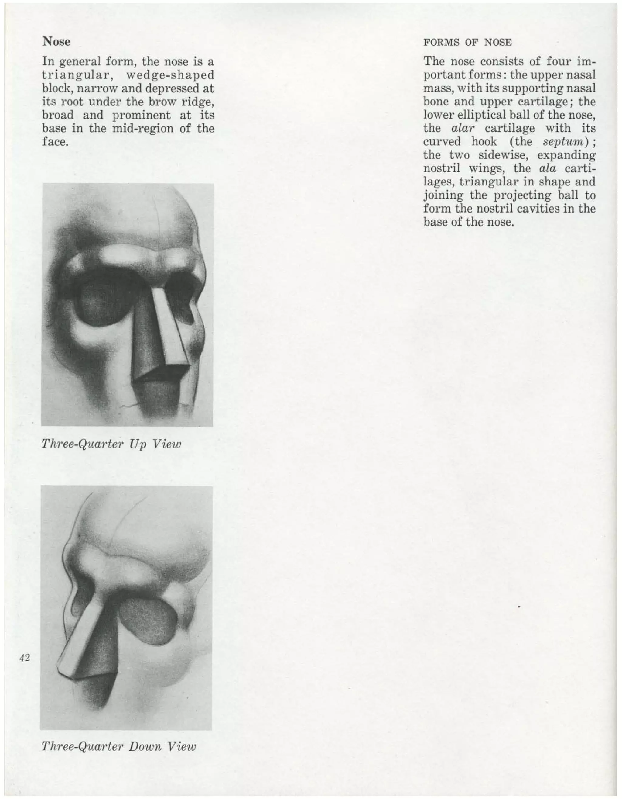 Burne Hogarth Drawing The Human Head Pdf