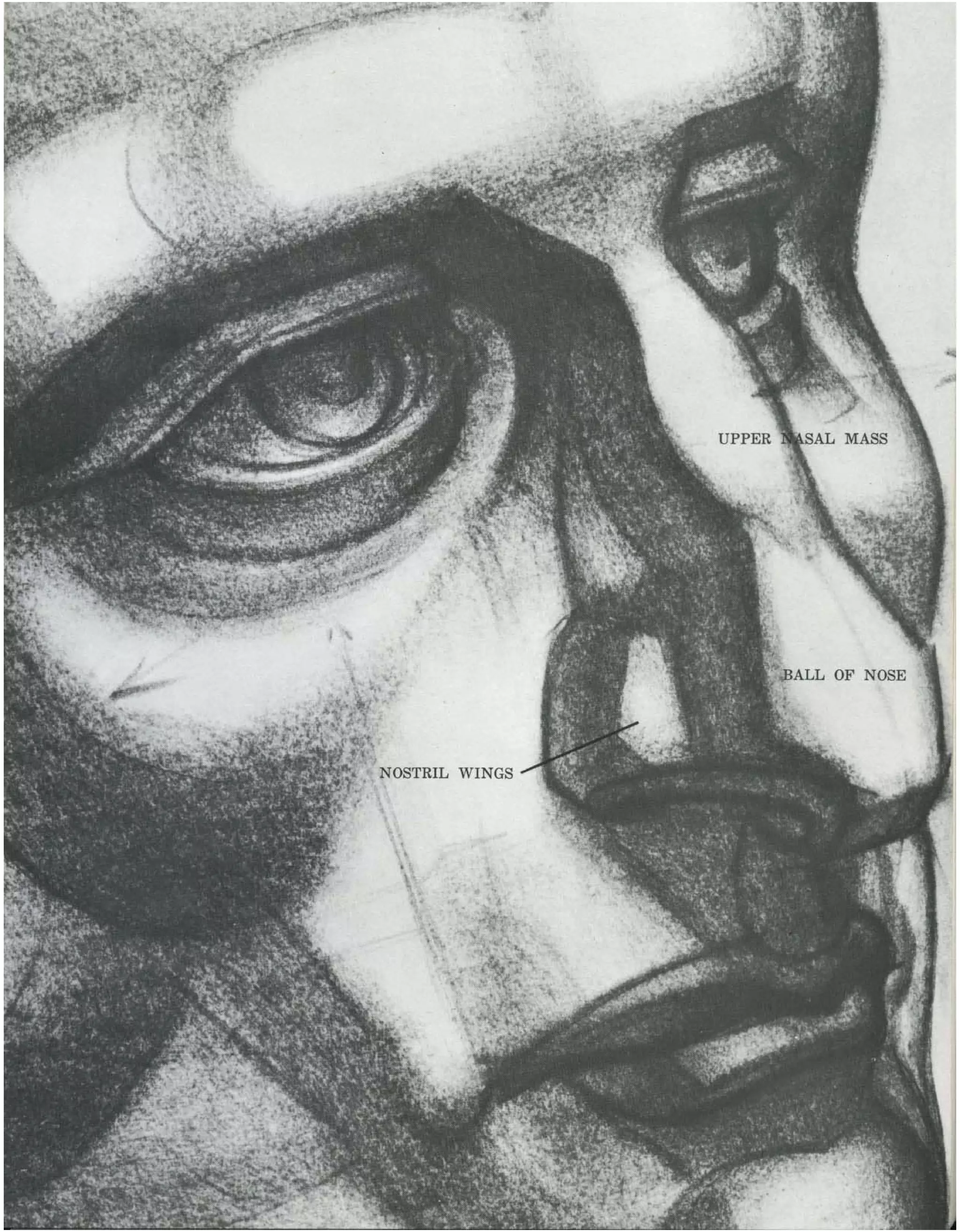 Burne Hogarth Drawing The Human Head Pdf