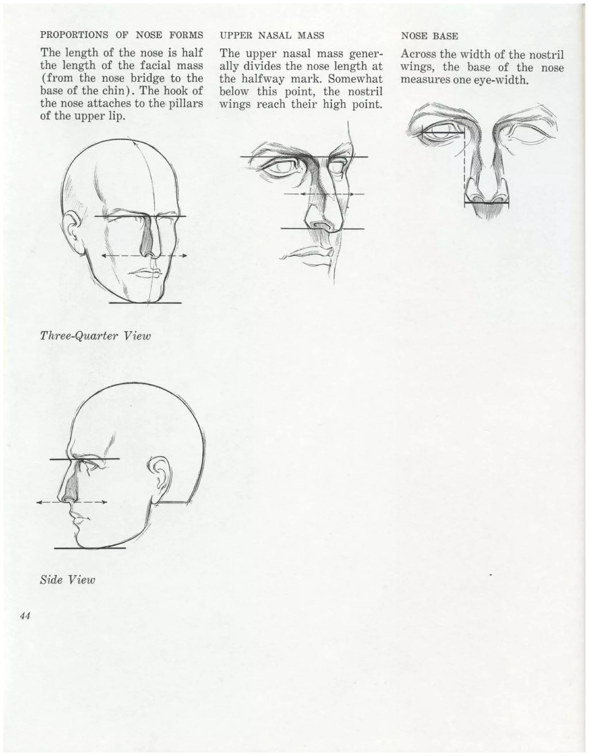 Burne Hogarth Drawing The Human Head Pdf