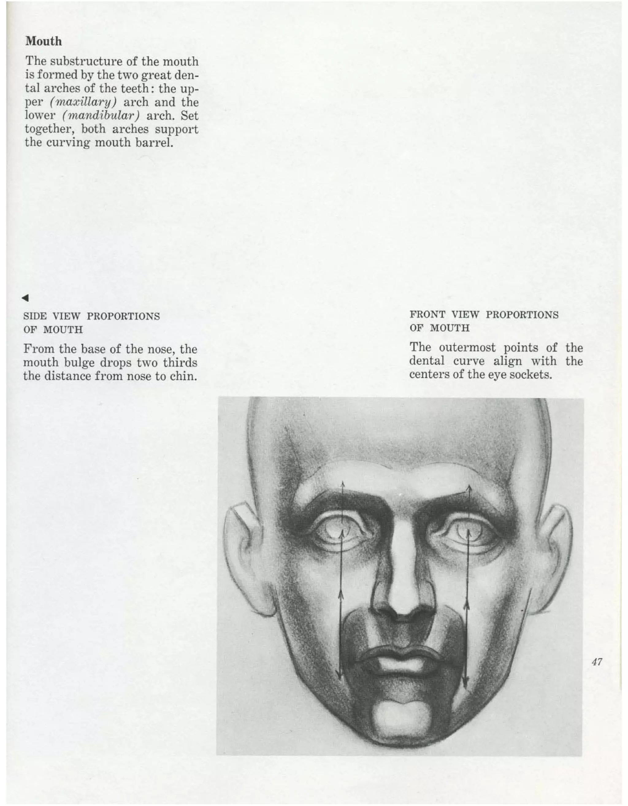 Burne Hogarth Drawing The Human Head Pdf