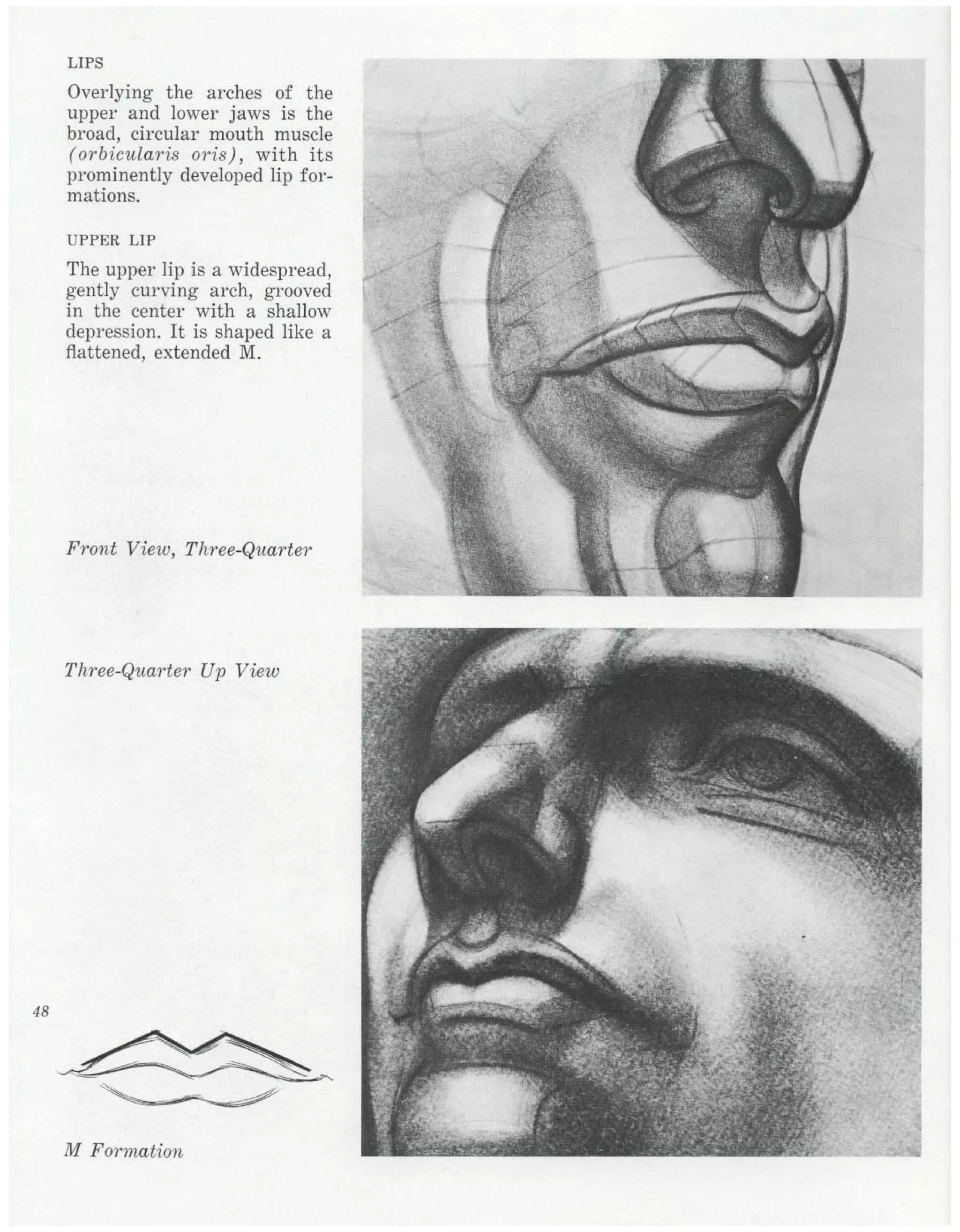 Burne Hogarth Drawing The Human Head Pdf