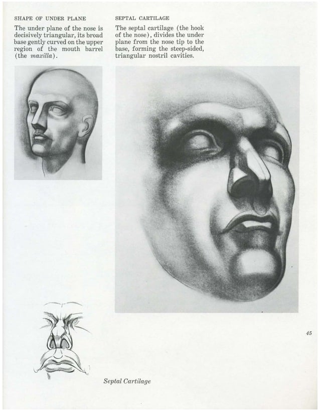 Burne Hogarth Drawing The Human Head Pdf