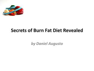 Secrets of Burn Fat Diet Revealed by Daniel Augusto 