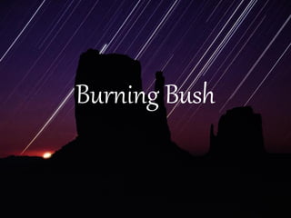 Burning Bush
 