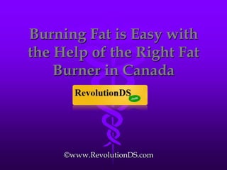 Burning Fat is Easy with the Help of the Right Fat Burner in Canada ©www.RevolutionDS.com 