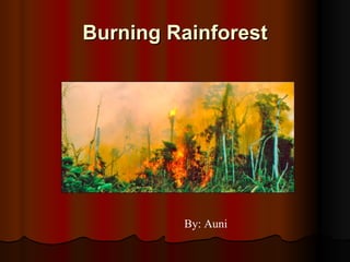 Burning Rainforest By: Auni 