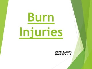 Burn
Injuries
1
ANKIT KUMAR
ROLL NO. - 15
 