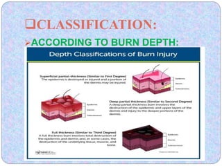 Burn injury | PPTX