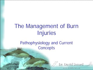 The Management of Burn
       Injuries
 Pathophysiology and Current
          Concepts
 