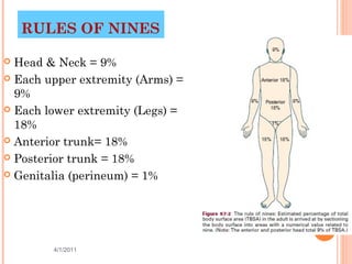 RULES OF NINES

 Head & Neck = 9%
 Each upper extremity (Arms) =
  9%
 Each lower extremity (Legs) =
  18%
 Anterior trunk= 18%

 Posterior trunk = 18%

 Genitalia (perineum) = 1%




        4/1/2011                  19
 