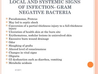 LOCAL AND SYSTEMIC SIGNS
OF INFECTION- GRAM
NEGATIVE BACTERIA
 Pseudomonas, Proteus
 May led to septic shock
 Conversion of a partial-thickness injury to a full-thickness
injury
 Ulceration of health skin at the burn site
 Erythematous, nodular lesions in uninvolved skin
 Excessive burn wound drainage
 Odor
 Sloughing of grafts
 Altered level of consciousness
 Changes in vital signs
 Oliguria
 GI dysfunction such as diarrhea, vomiting
 Metabolic acidosis
4/1/2011 42
 