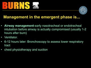 Management in the emergent phase is...
• Airway management-early nasotracheal or endotracheal
intubation before airway is actually compromised (usually 1-2
hours after burn)
• Ventilator.
• 6-12 hours later: Bronchoscopy to assess lower respiratory
tract
• chest physiotherapy and suction
 