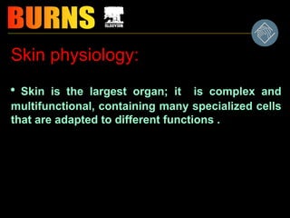 Skin physiology:
* Skin is the largest organ; it is complex and
multifunctional, containing many specialized cells
that are adapted to different functions .
 