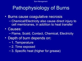 Burn Management
Pathophysiology of Burns
• Burns cause coagulative necrosis
– Chemical/Electricity also cause direct injury to
cell membranes, in addition to heat transfer
• Causes:
– Flame, Scald, Contact, Chemical, Electricity
• Depth of burn depends on:
– 1. Temperature
– 2. Time exposed
– 3. Specific heat (higher for grease)
 