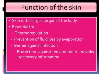 Function of the skin
 Skin is the largest organ of the body
 Essential for:
- Thermoregulation
- Prevention of fluid loss by evaporation
- Barrier against infection
- Protection against environment provided
by sensory information
 