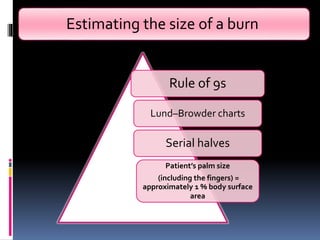 Estimating the size of a burn
Rule of 9s
Lund–Browder charts
Serial halves
Patient’s palm size
(including the fingers) =
approximately 1 % body surface
area
 