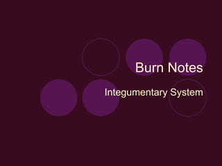 Burn Notes
Integumentary System
 