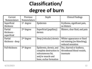 BURN PEDIA.pptx