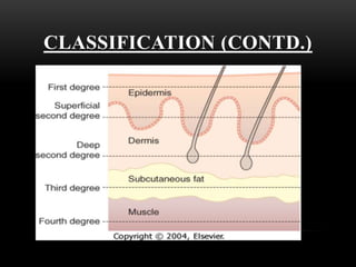 CLASSIFICATION (CONTD.)
 