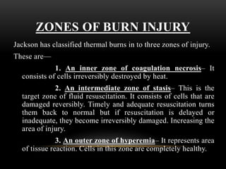 ZONES OF BURN INJURY
Jackson has classified thermal burns in to three zones of injury.
These are—
1. An inner zone of coagulation necrosis– It
consists of cells irreversibly destroyed by heat.
2. An intermediate zone of stasis– This is the
target zone of fluid resuscitation. It consists of cells that are
damaged reversibly. Timely and adequate resuscitation turns
them back to normal but if resuscitation is delayed or
inadequate, they become irreversibly damaged. Increasing the
area of injury.
3. An outer zone of hyperemia– It represents area
of tissue reaction. Cells in this zone are completely healthy.
 
