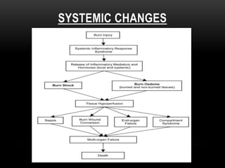 SYSTEMIC CHANGES
 