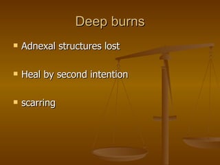 Deep burns Adnexal structures lost Heal by second intention  scarring 