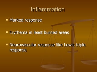 Inflammation  Marked response Erythema in least burned areas Neurovascular response like Lewis triple response  