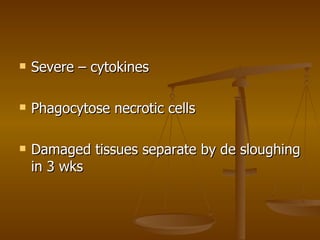 Severe – cytokines Phagocytose necrotic cells Damaged tissues separate by de sloughing in 3 wks 