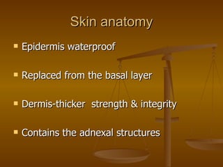 Skin anatomy Epidermis waterproof Replaced from the basal layer Dermis-thicker  strength & integrity Contains the adnexal structures 